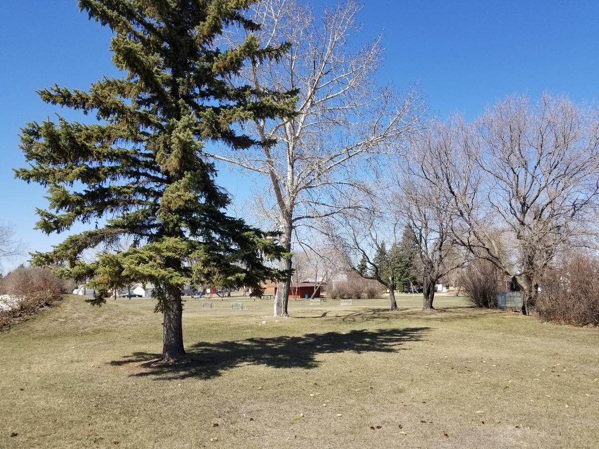 Melville Melsask Motel المظهر الخارجي الصورة